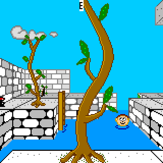 Enigma in the Wine Cellar