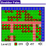 Boulder Palm