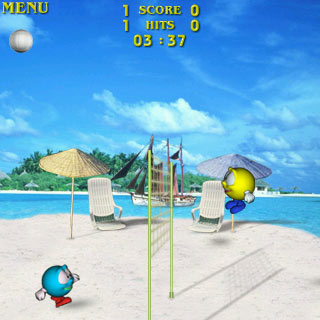 Volley Ball