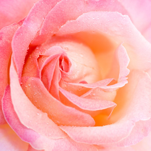 Background images for Z22 (compressed)