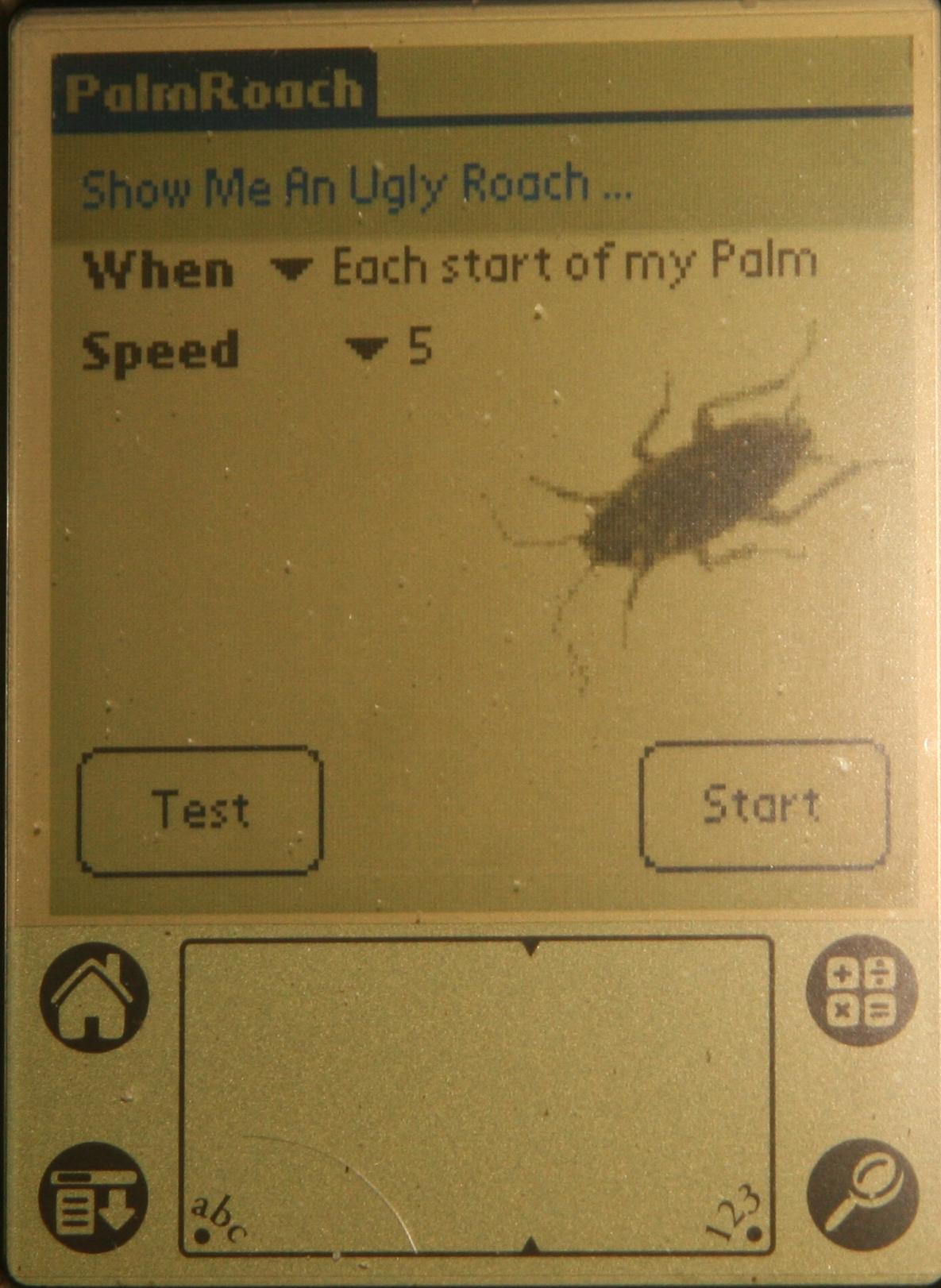 PalmRoach